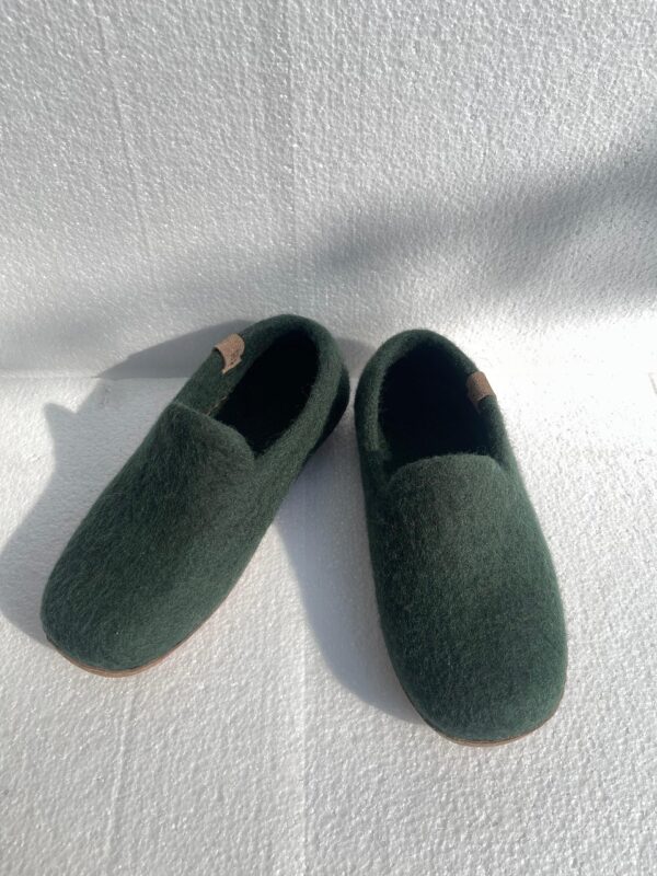 Felt Shoe